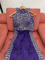 Blue Beautiful Designer Saree on Jimmy Chu Fabric with Thread & Sequence work