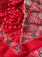 Red Ajrakh Printed Soft Modal Silk Natural Print Saree P2