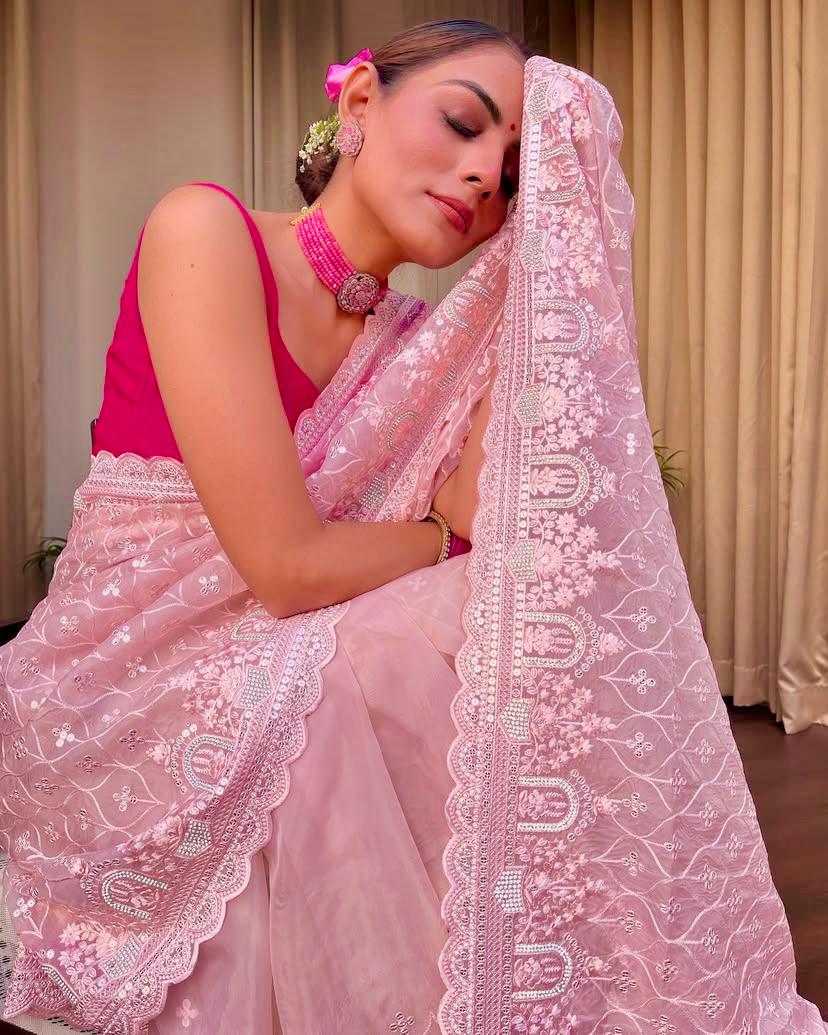Khadi Organza With Beautiful Multi + 7 M.M Sequence Embroidery Work And C Pallu Cutwork